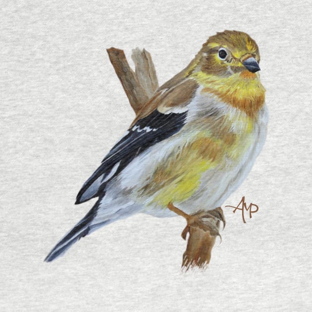 American Goldfinch by ampomata